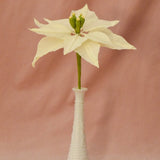 Poinsettia Single Stem