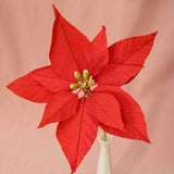 Poinsettia Single Stem