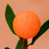 Tangerine single stem