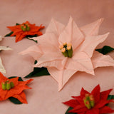 Poinsettia Clip