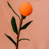 Tangerine single stem