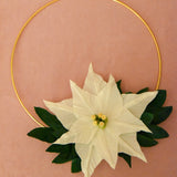 Ruscus Hoop Wreath